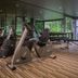 Palestra