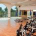 Palestra
