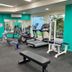 Palestra