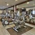 Palestra