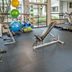 Palestra