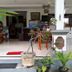 Ingresso