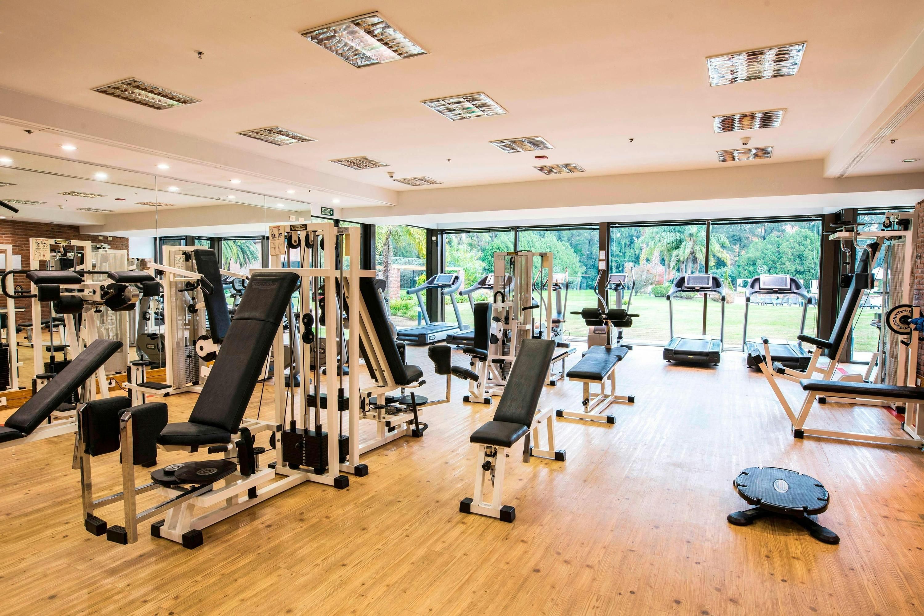 Palestra