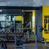 Palestra