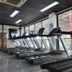 Palestra