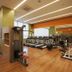 Palestra