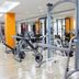 Palestra