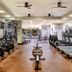 Palestra