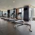 Palestra