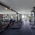 Palestra