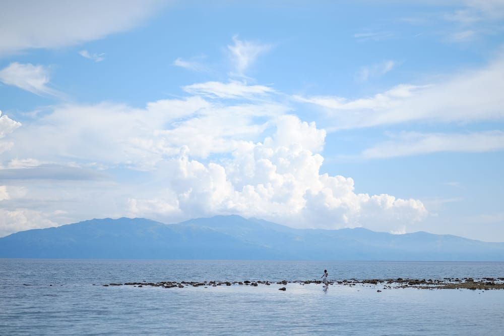 Vista esterna