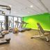 Palestra