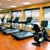 Palestra