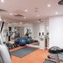 Palestra