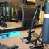 Palestra