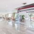 Ingresso
