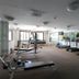 Palestra
