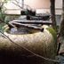 Vista esterna