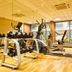 Palestra