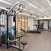 Palestra