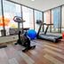 Palestra