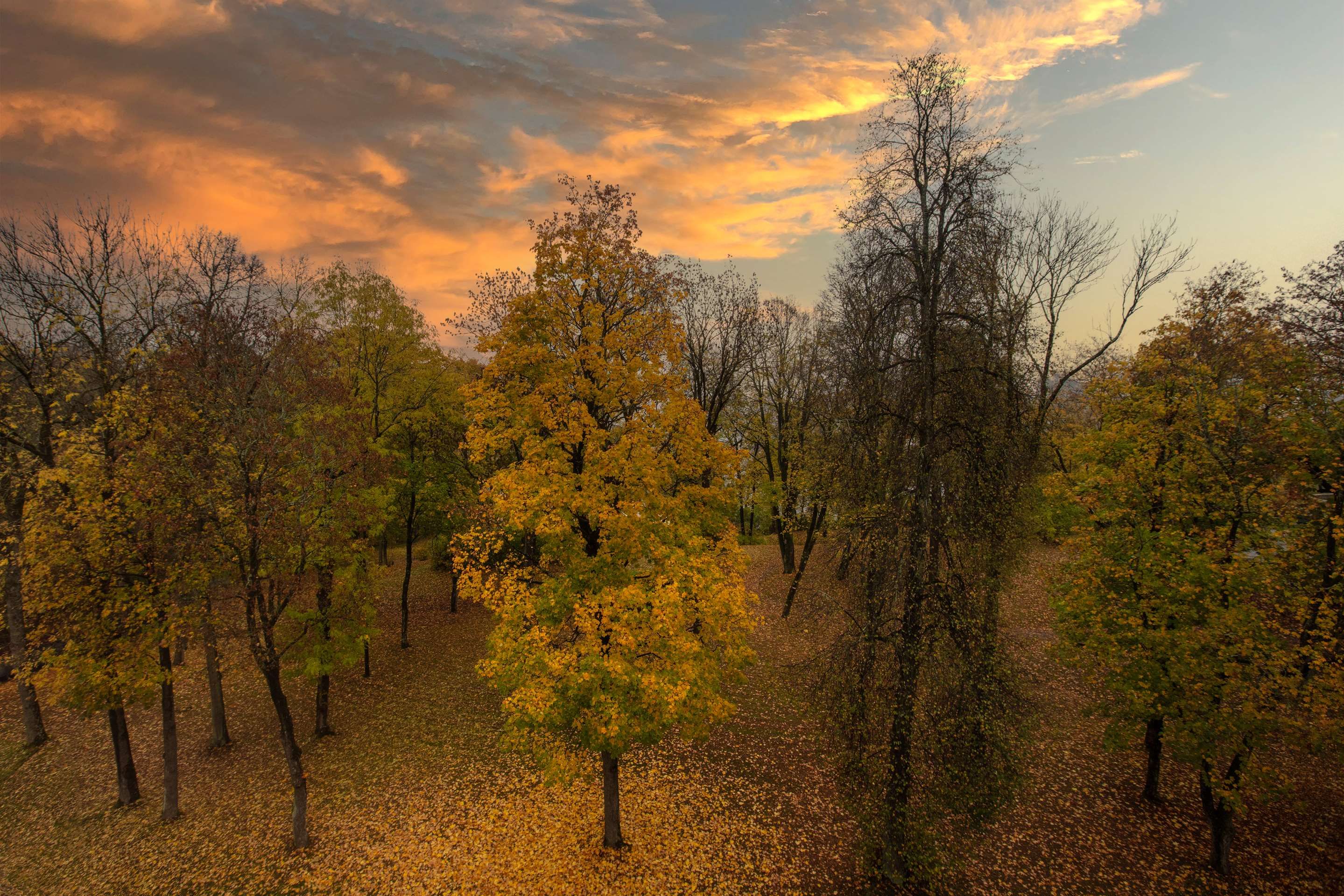 Vista esterna