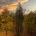Vista esterna