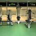 Palestra