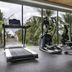 Palestra