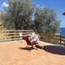 Terrazza