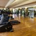 Palestra