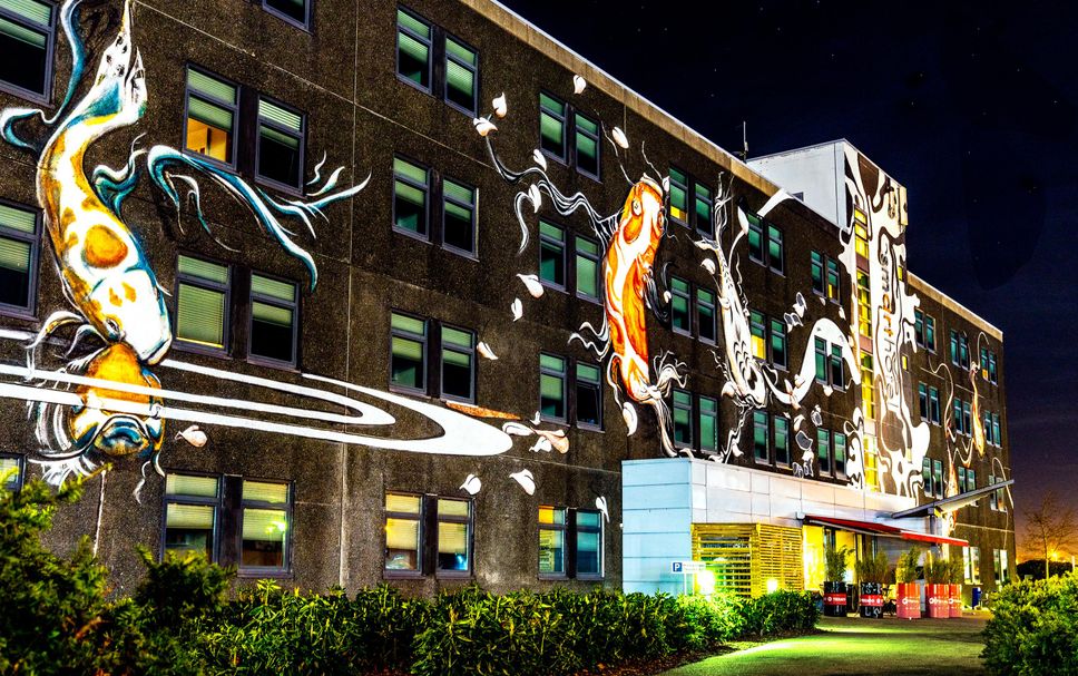 Edificio Foto
