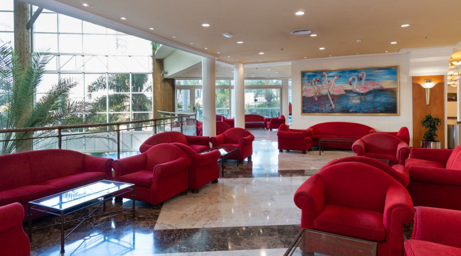 Area lounge