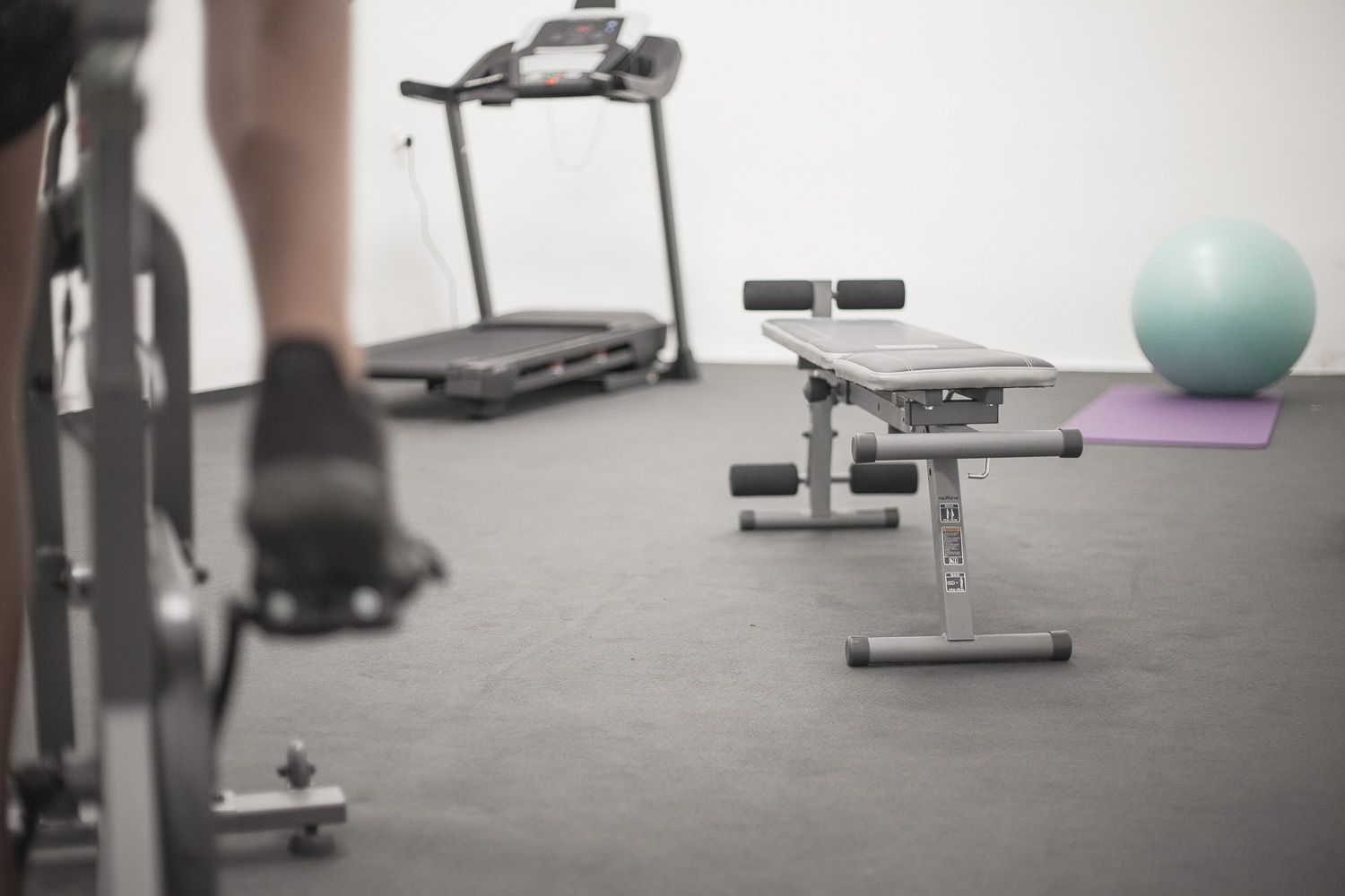 Palestra