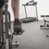 Palestra