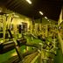 Palestra