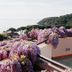 Terrazza