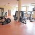 Palestra