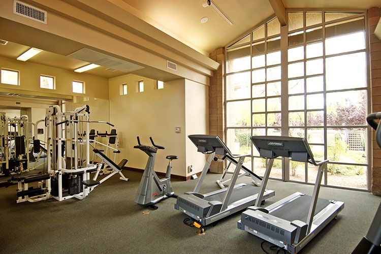Palestra
