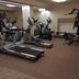Palestra