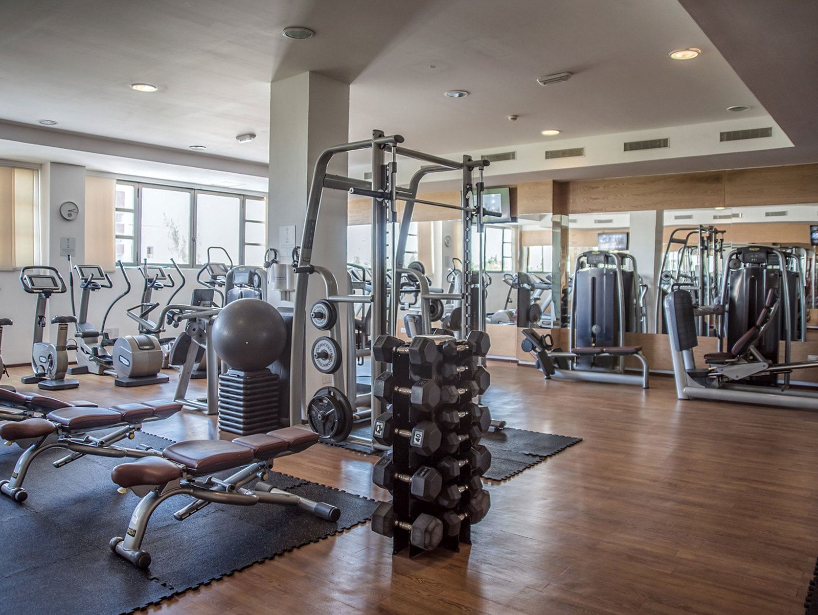 Palestra