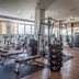 Palestra