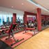 Palestra
