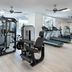 Palestra