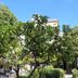 Vista esterna