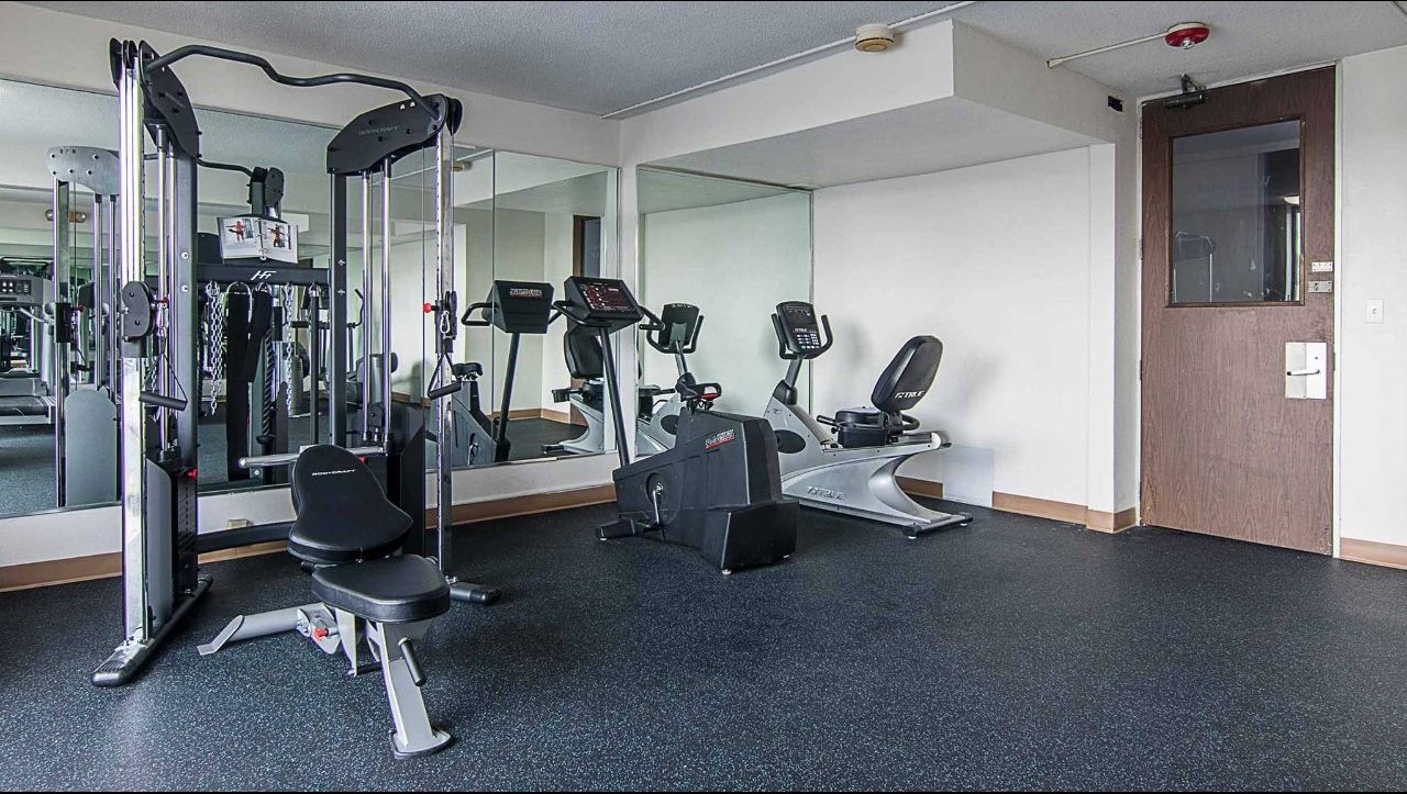 Palestra
