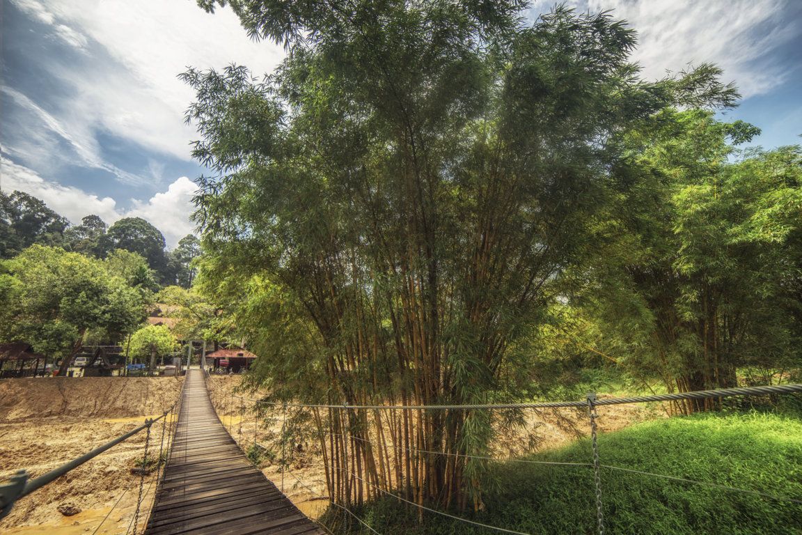 Vista esterna