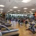 Palestra