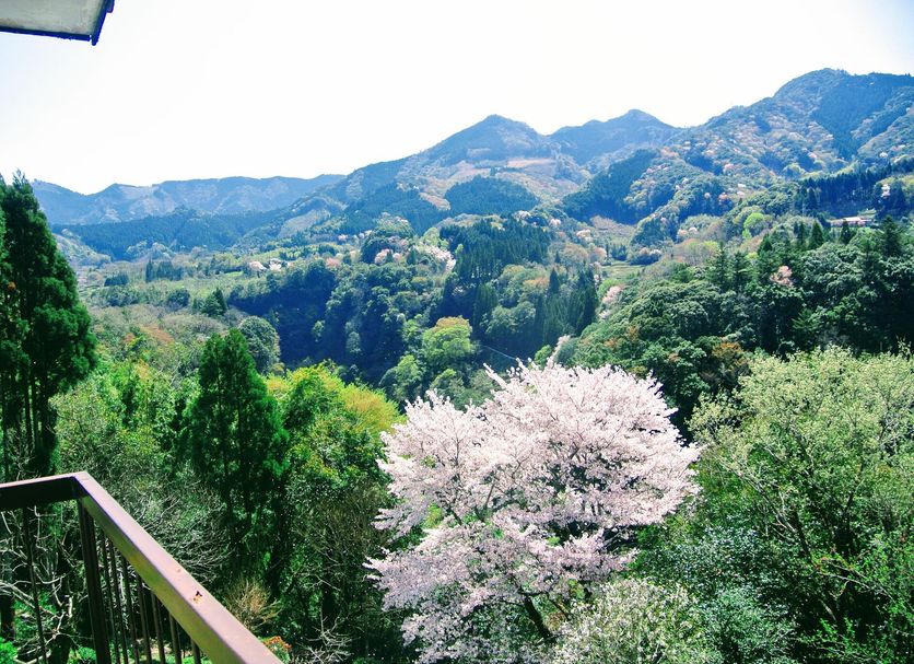Balcone Foto
