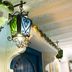 Arredamento